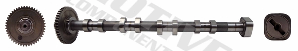 Eksantrik Mili Egzoz Altea Leon Cc Passat A3 A4 A5 Tt Octavia Superb Yeti 1.8TFSI Cdaa Cdab Bzb | MOTIVE T2131 | OEM 06H109022BA