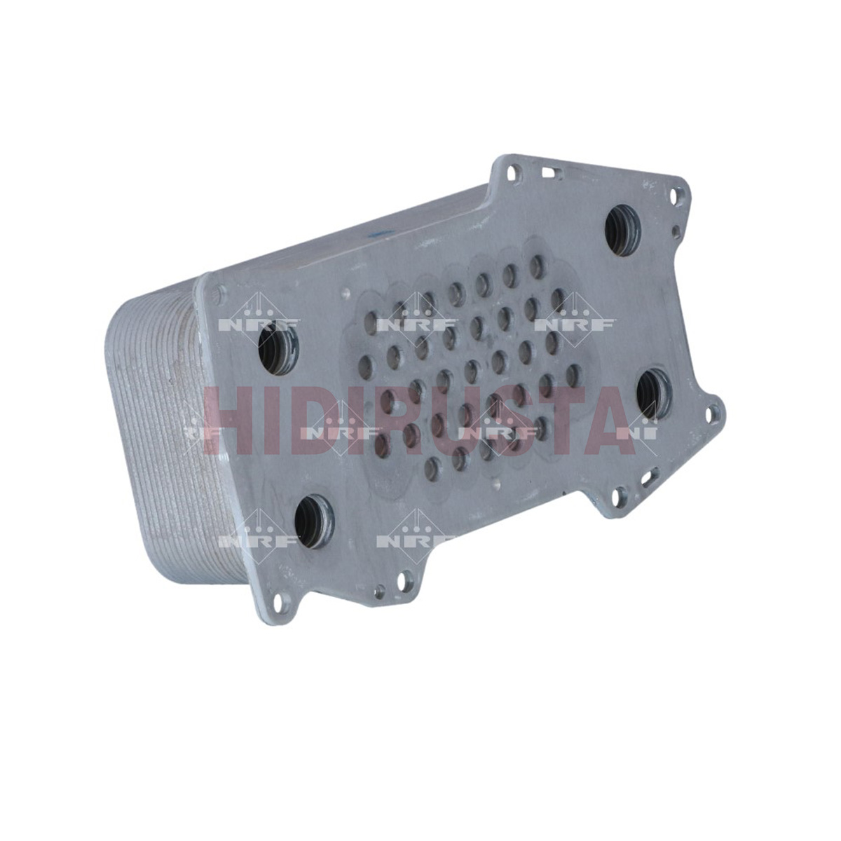 Yağ Soğutucusu (20 Petek) Renault DXI7 - Deutz TCD2012, 13 L6 | OEM 04900206