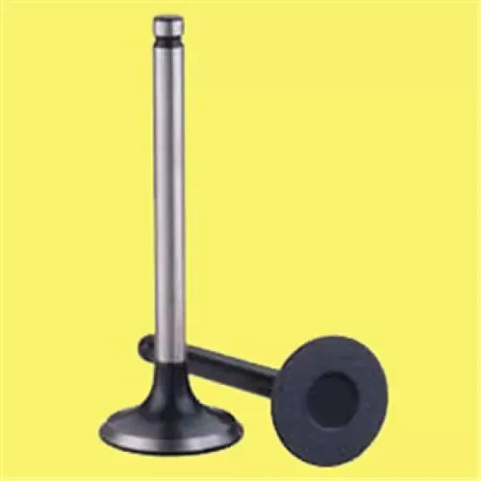 Subap Takimi X16XEL Z16XE Astra F / G Vectra B / C Corsa B | GUNES 4017-4018 | OEM 641034 641340