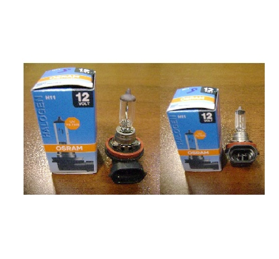 Ampul - H11 Pipo (H) 12V 55W | OEM 64211