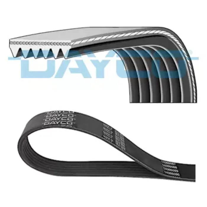 Kanalli Kayis | DAYCO 6PK2285 | OEM 53012002