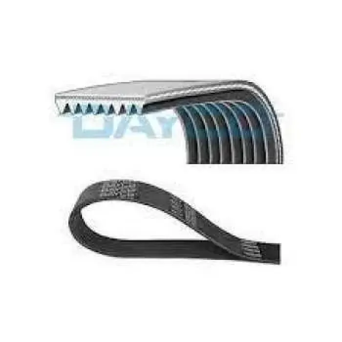 Kanalli Kayis Cheroke Jeep 3,0 | DAYCO 8PK2490