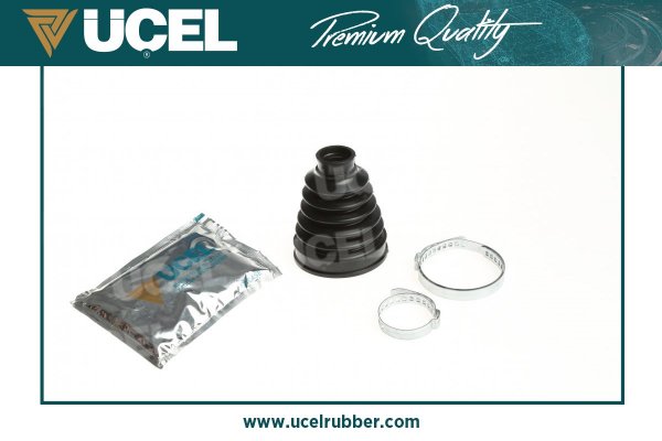 Aks Korugu Ic Clio III IV Modus Twingo II Kangoo III Megane III Fluence | UCEL 10668 | OEM 7701209469