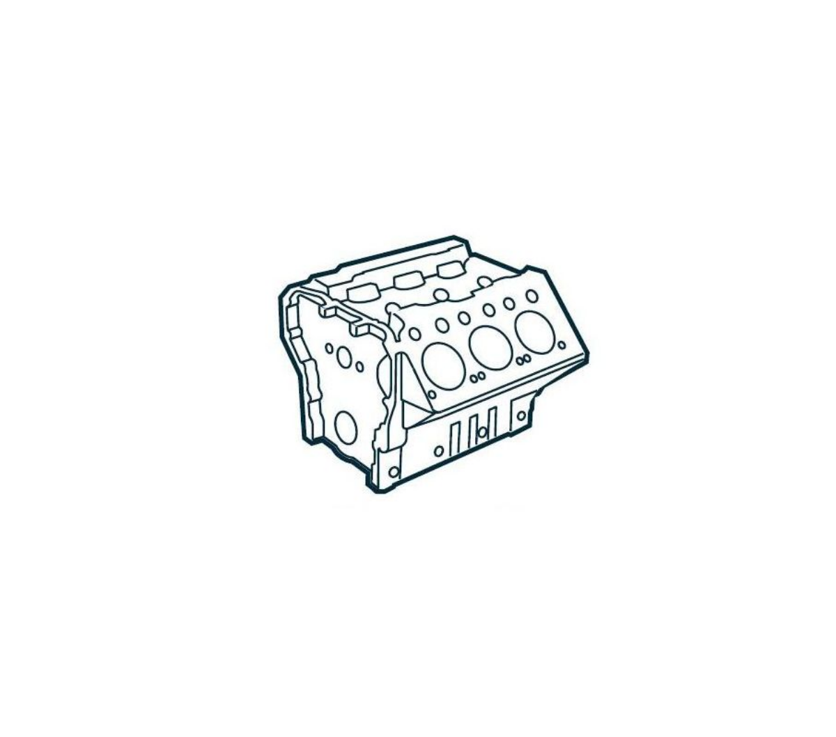 Motor Bloğu D 2840 V 10 | OEM 51011006156