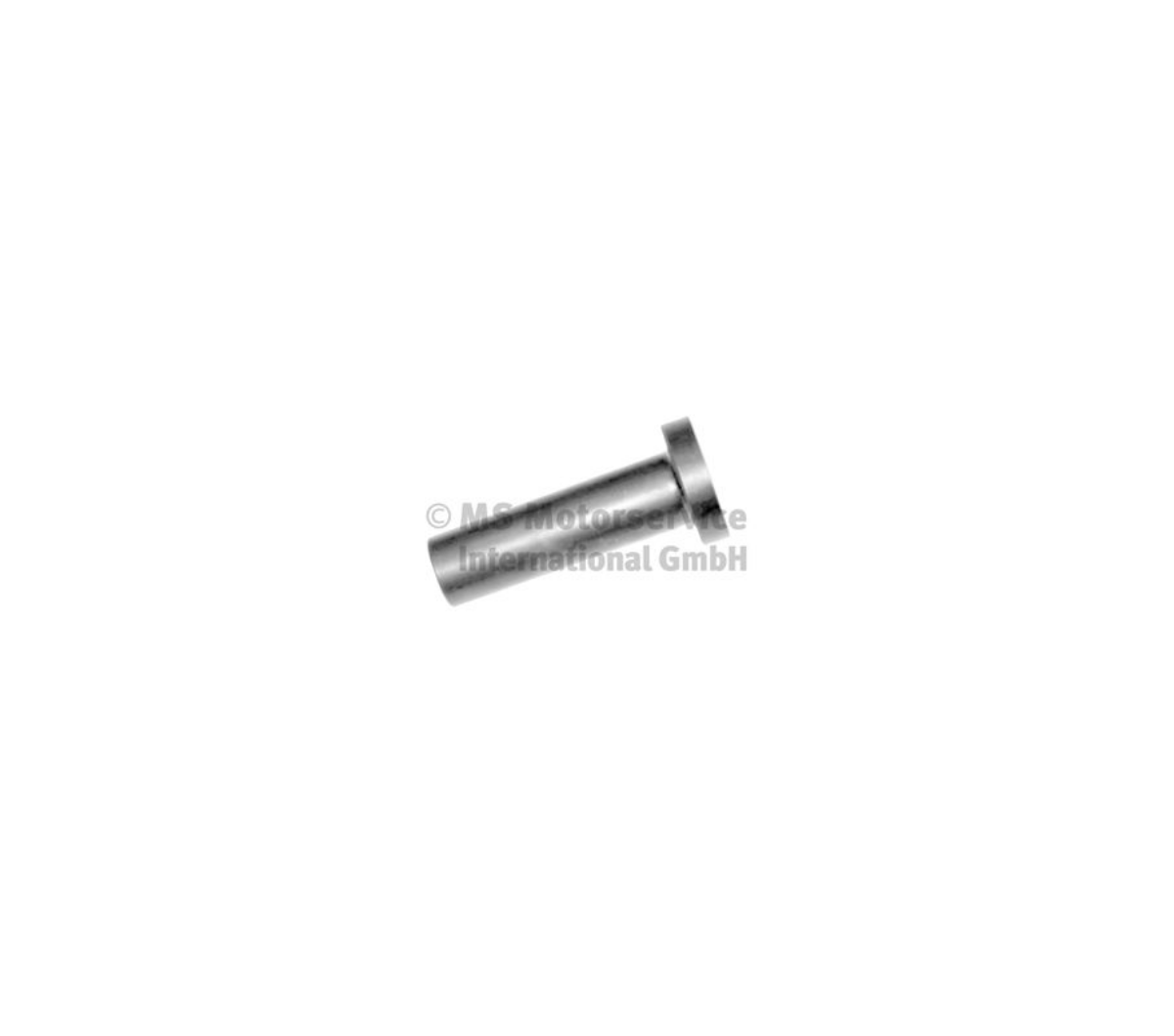 Supap Fincanı - (D2566, 2866, 2876, 2840, 2842) | OEM 51043010064