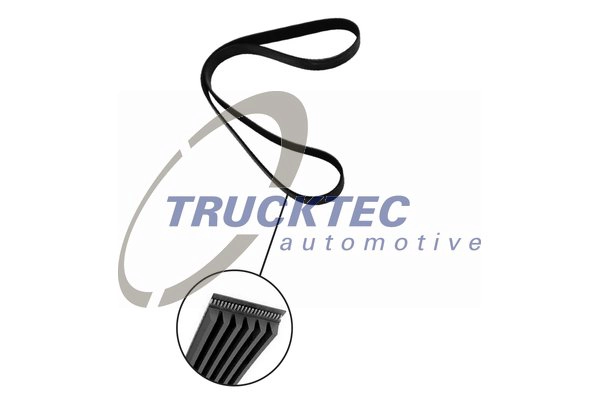 Kanalli Kayis Megane 1.6 1.8 2.0 16V 00=> Berlingo 99=> C5 (01 04) P306 (98 01) P406 (96 04) / (6PK175 | ROADMAX 1753K6 | OEM 7700101261