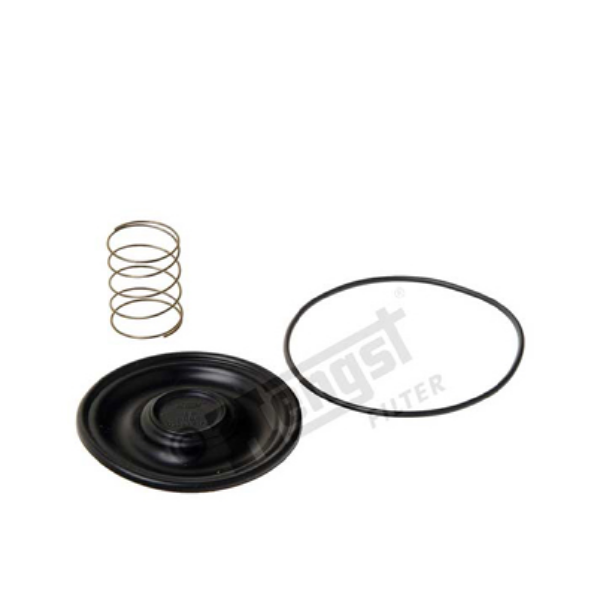 Motor Havalandırma Diyafram Tamir Takımı Actros E.m. | OEM A5410180333