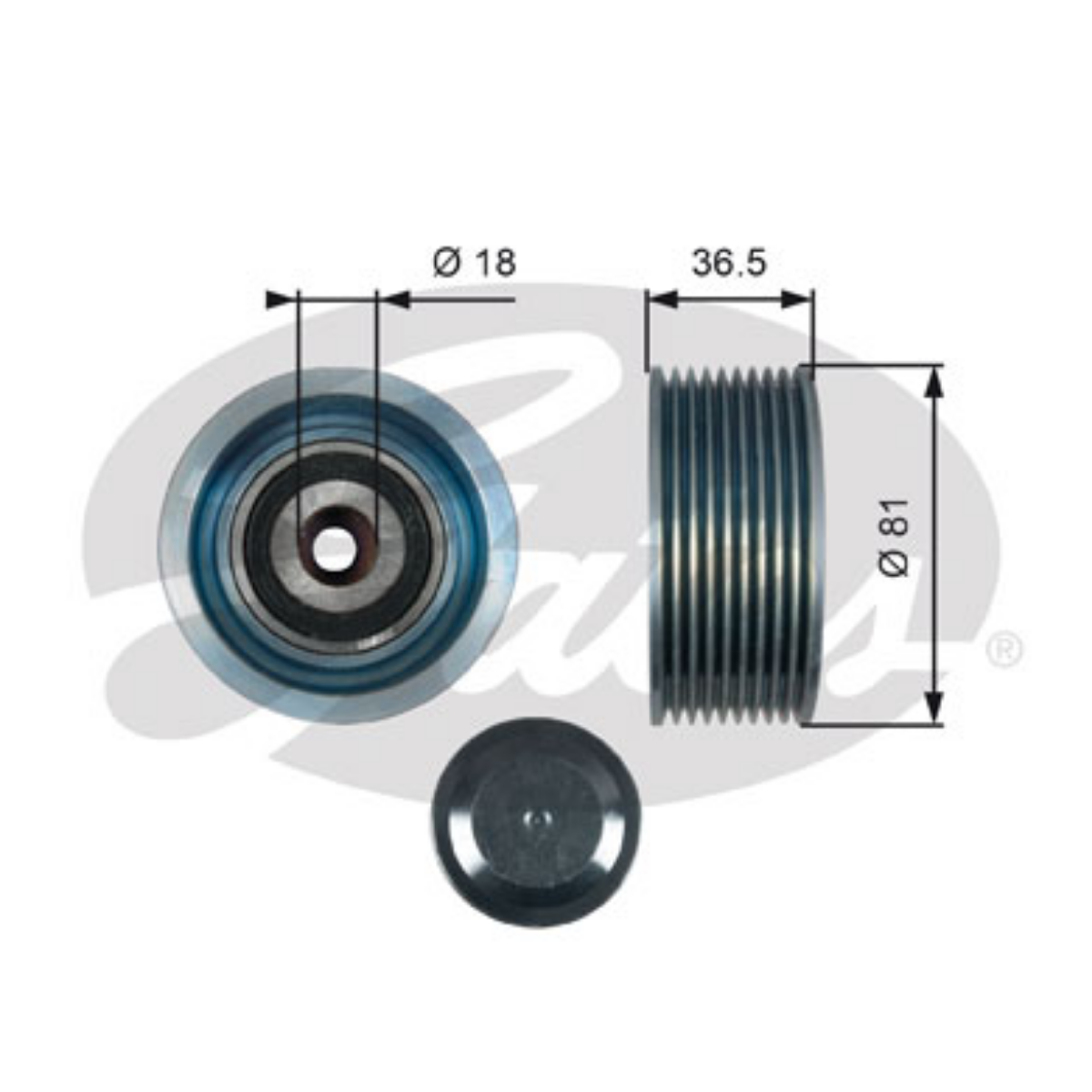 Kayış Kasnağı 457 Travego Tek Dingil | OEM A4572001170