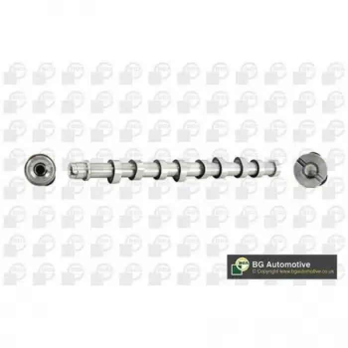Eksantrik Mili P107 P206 P207 P307 C1 C2 C3 Bipper Nemo DV4TD (1,4HDI 8V) Fiesta 03>11 Fusion 01>12 1,4TDCI (Dokum) | SUPSAN E0004032 | OEM 0801.AL 0801.AL 0801.CY 2S6Q6250AD 0801.CY 2S6Q6250AD