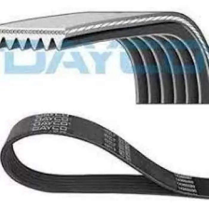 Kanalli Kayis Focus I 1.4 1.6 16V 98>04 / (6PK1915) | DAYCO 6PK1915 | OEM 1137008 1137008 98MF6C301DA 98MF6C301DA