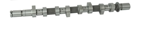 Eksantrik Mili Emme Clio Kangoo Megane Logan Nissan Micra Note Almera 1,5DCI K9K (Dokum) | SUPSAN E0004024-01 | OEM 8200255678 8200255678 8200089894 130209682R 8200089894 130209682R