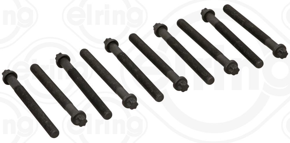 Silindir Kapak Saplamasi (Takim) Kangoo Megane Laguna 1,9D | ELRING 111.460 | OEM 7700865991