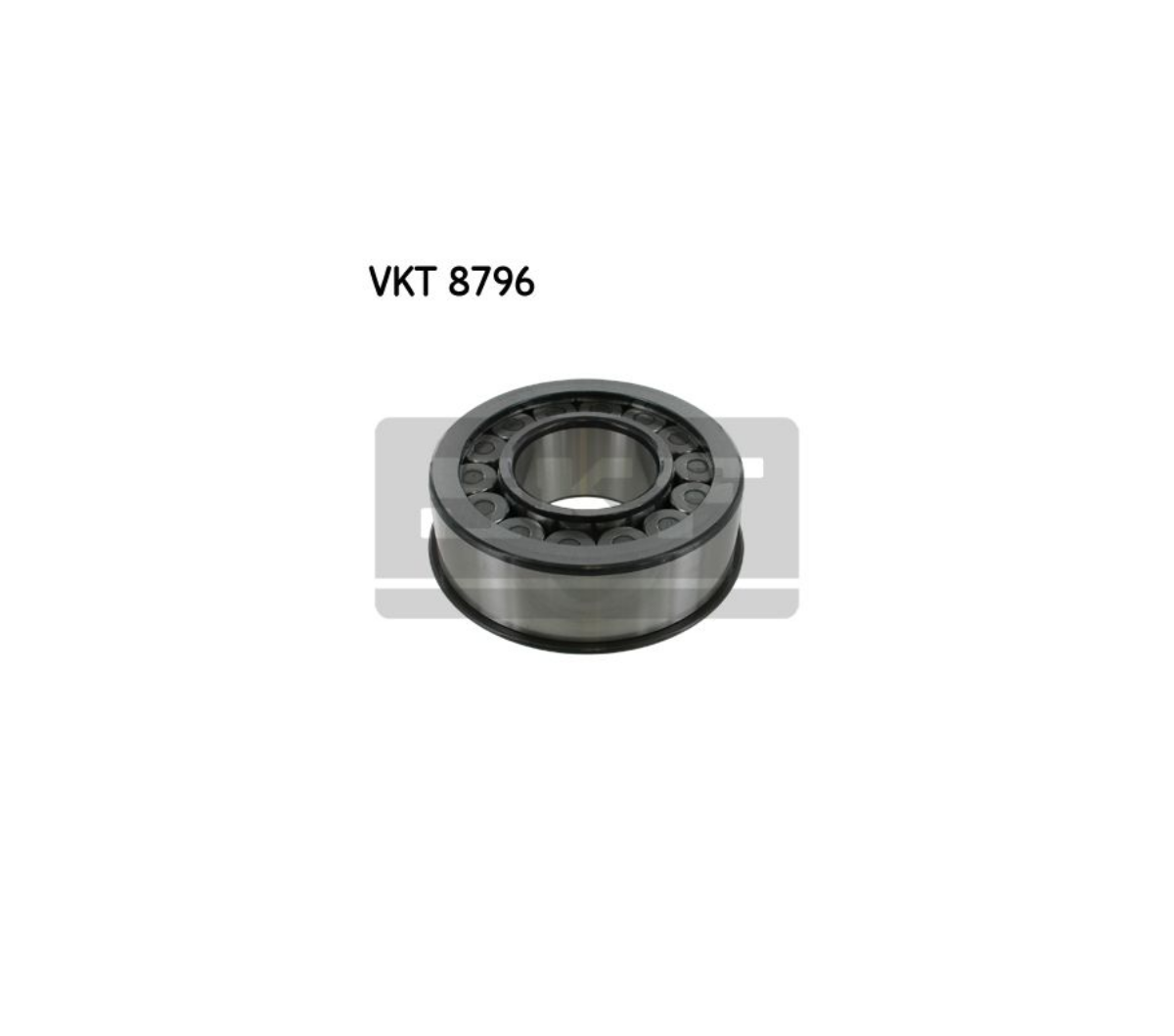 Diferansiyel Mahruti Dip Rulmanı (100 X 45 X 36) Scania R780, 885 | OEM 1309569