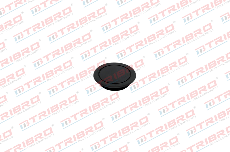 Çamurluk Tapası Axor | OEM 101039