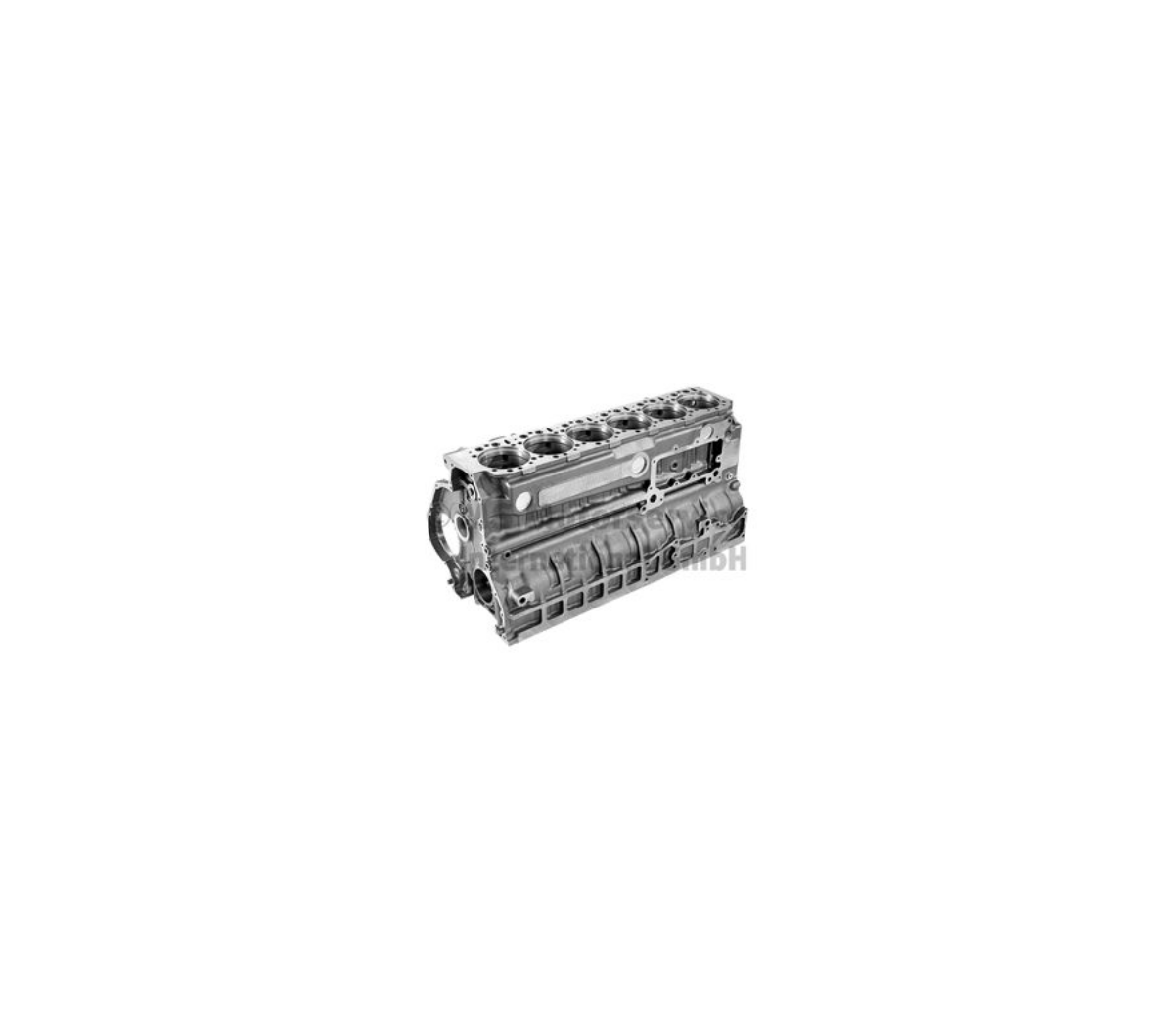 Motor Bloğu D2866 | OEM 51.01102-6270