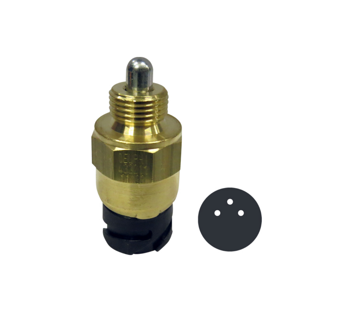 Çamur Takviye Müşiri - TGA,TGS,TGX | OEM 81255030244