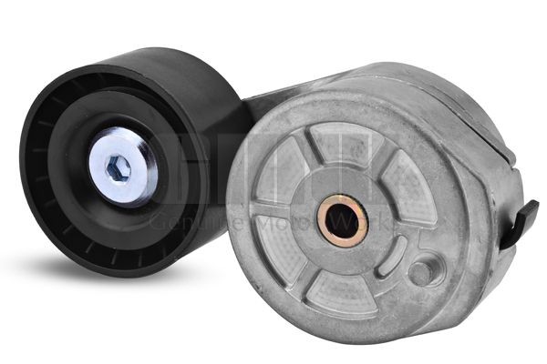 Kayis Gergi Rulmani (Kutuklu) - Ford Cargo / 2524-3230 | GMW GT62268 | OEM 2C46 6A228 AA