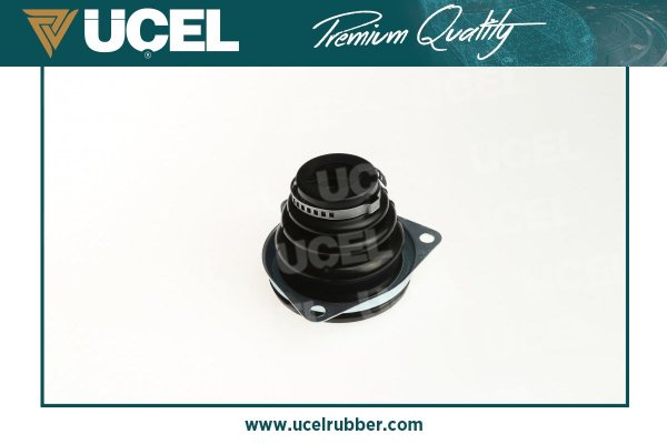 Aks Korugu Ic Sol (Dis Sacli) Logan | UCEL 10202A | OEM 7701473830
