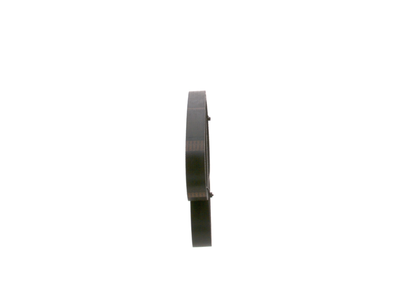 Kanalli Kayis 6PK1145 | BOSCH 1987947943