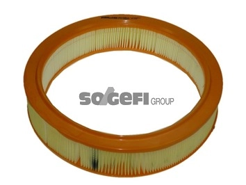 Hava Filtresi Albea Doblo Palio Punto 1.2 8V 01> | PURFLUX A1106 | OEM 46536222 71754083