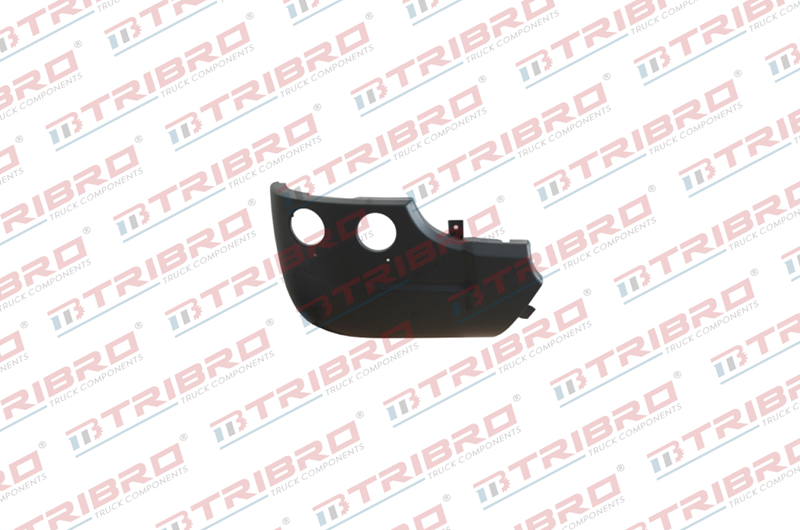 Tampon Scania Sağ 6 Seri | OEM 1923743