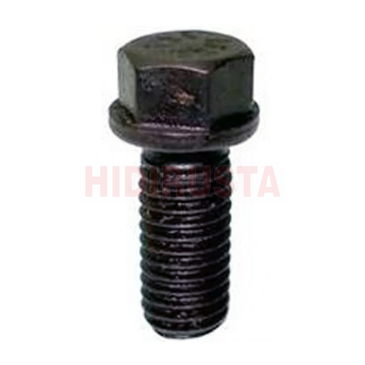 Eksantrik Dişli Cıvatası 2521 | OEM 3669900004