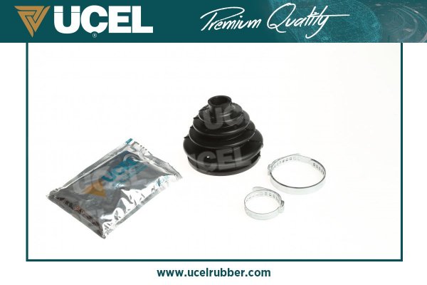 Aks Korugu Dis R21 Txe D Espace | UCEL 10406 | OEM 7701035088