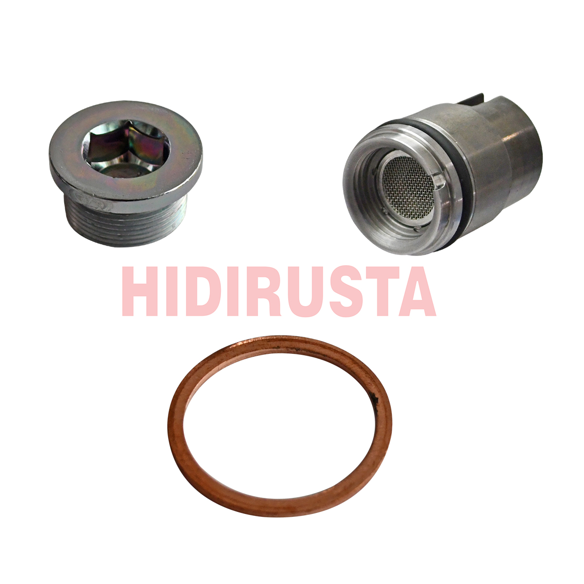 Retarder Valf ve Tapa Kiti Voith R115, VR3250 | OEM 21156845