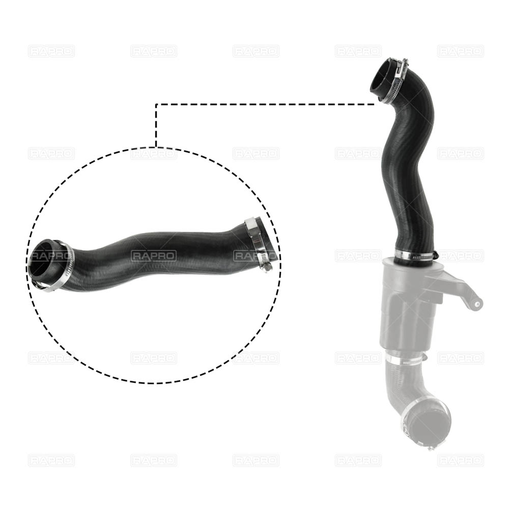 Turbo Hortum Buyuk Mini Cooper R56 R57 R59 06> | RAPRO R19574 | OEM 13712753075