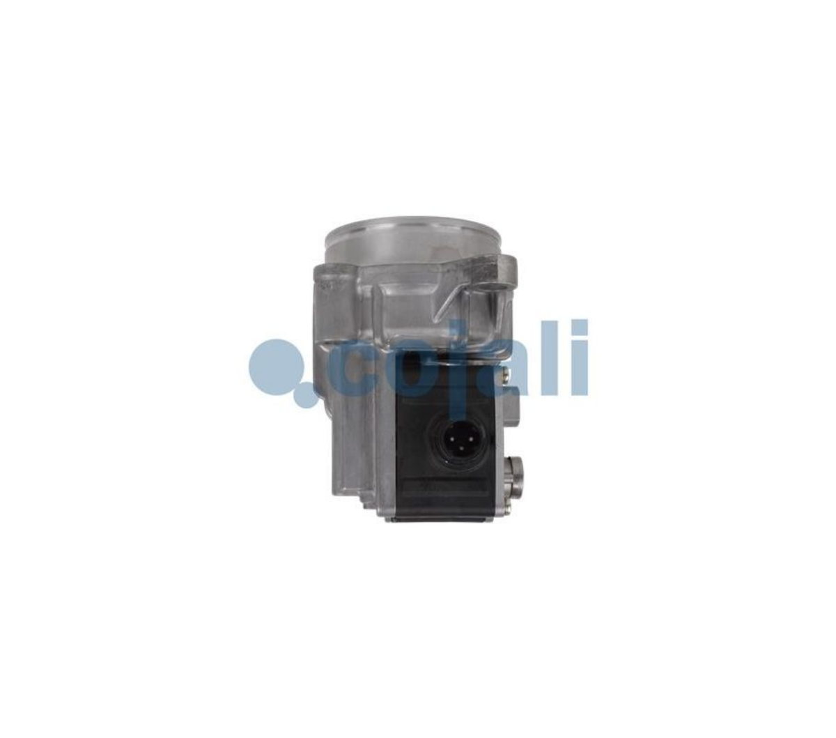 Şanzıman Ağır Seri Kapağı E.m. | OEM A0012604963