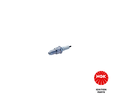 Atesleme Bujisi BUR6ET (10LU Paket) | NGK 3172 | OEM 101000026AB 101000036AA 101000040AD
