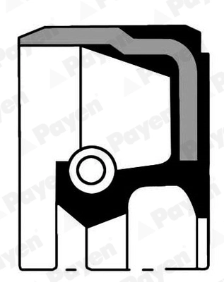 Krank Kecesi On 307 308 407 508 607 - 807-Rcz 3008 Expert 3 Jumpy 3 C4 2 | PAYEN NA5191 | OEM 012747