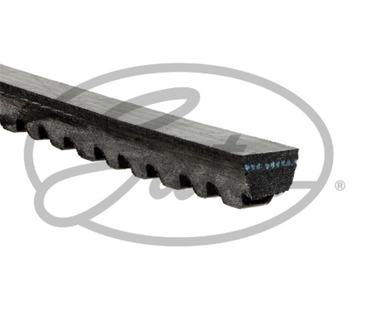Kayış 13x1600 | OEM 0009978292