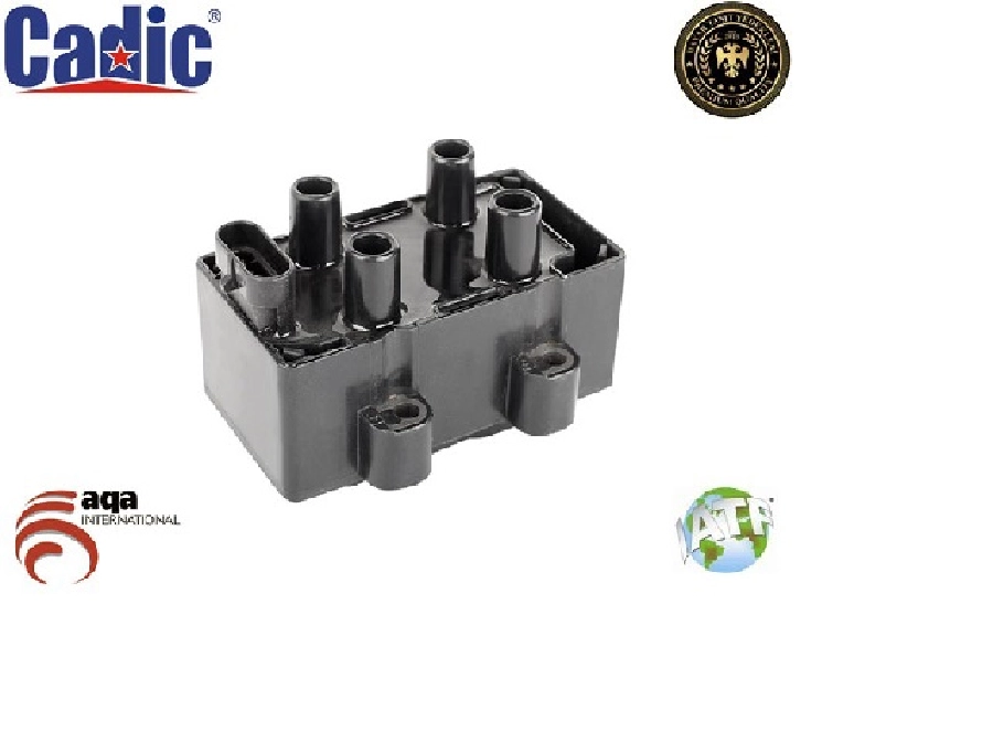 Bobin Ateşleme - Renault Laguna-Megane-Kangoo-Clio Dacia Logan 1.4,1.6 2004 Sandero 1.4,1.6 2008 77 | OEM 45015008