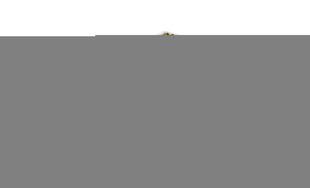 Polen Filtresi Megane III Scenic III (Karbonlu) | MANN FP26005 | OEM 272773488R