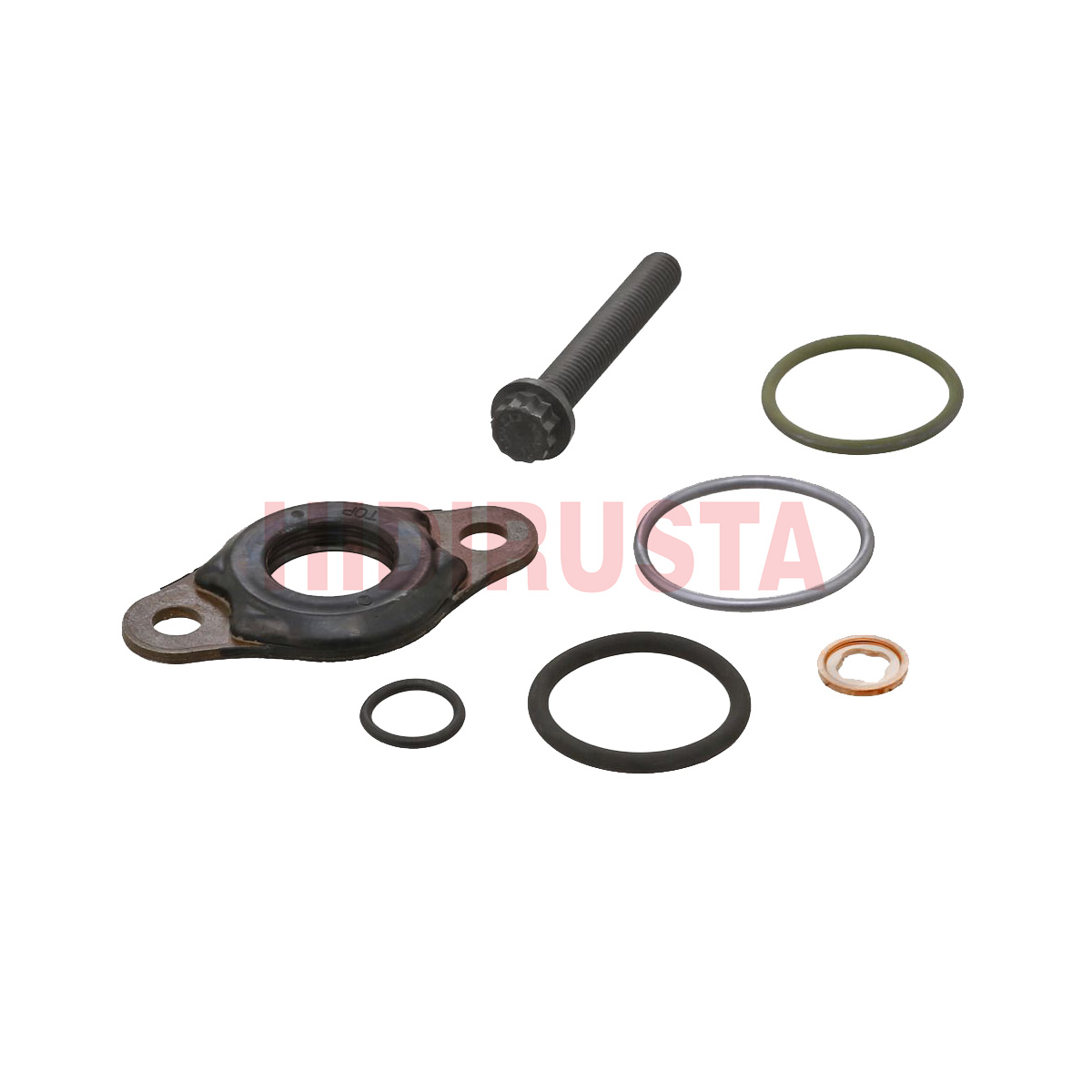 Enjektör Conta, Oring Tm.tk 471, 470 (1 Göz İçin) | OEM A4600701487