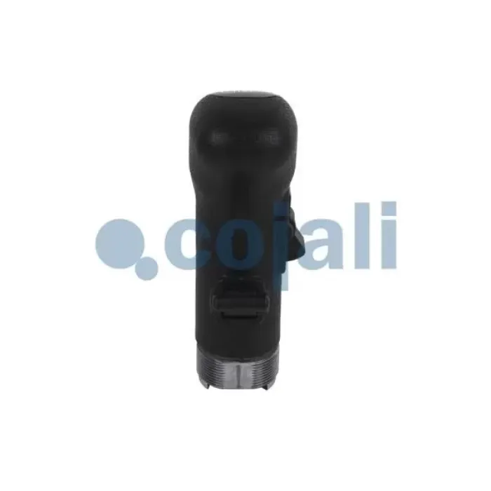 Vites Topuzu DAF Ati CF65 CF75 CF85 01>13 XF95 97>06 XF105 05> Cf 13> XF 12> (Siyah) | COJALI 2880141 | OEM 1285260