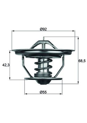 Termostat (71°) Scania 4 3 2 | MAHLE TX3571 | OEM 550275