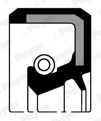 Krank Kapak Kecesi R12 R9 R11 R19 1,6 | PAYEN NF722 | OEM 3277158 32771583 7703087097