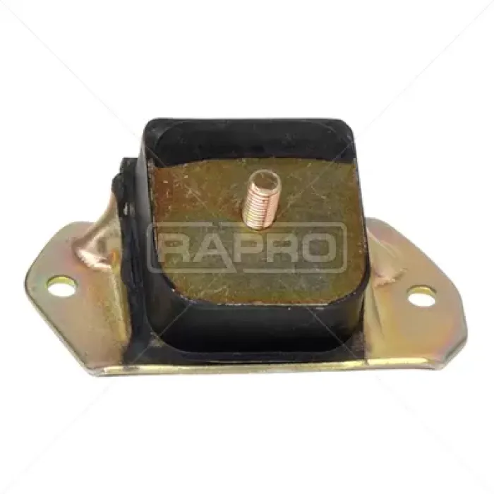 Motor Takozu R12 | RAPRO R55132 | OEM 7702246328