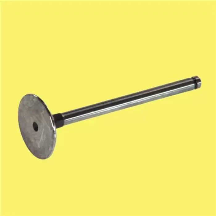 Subap Takimi Megane 2,0 8V (In 4 / Ex 4) | GUNES 4690-4691 | OEM 7701468960 7701468961