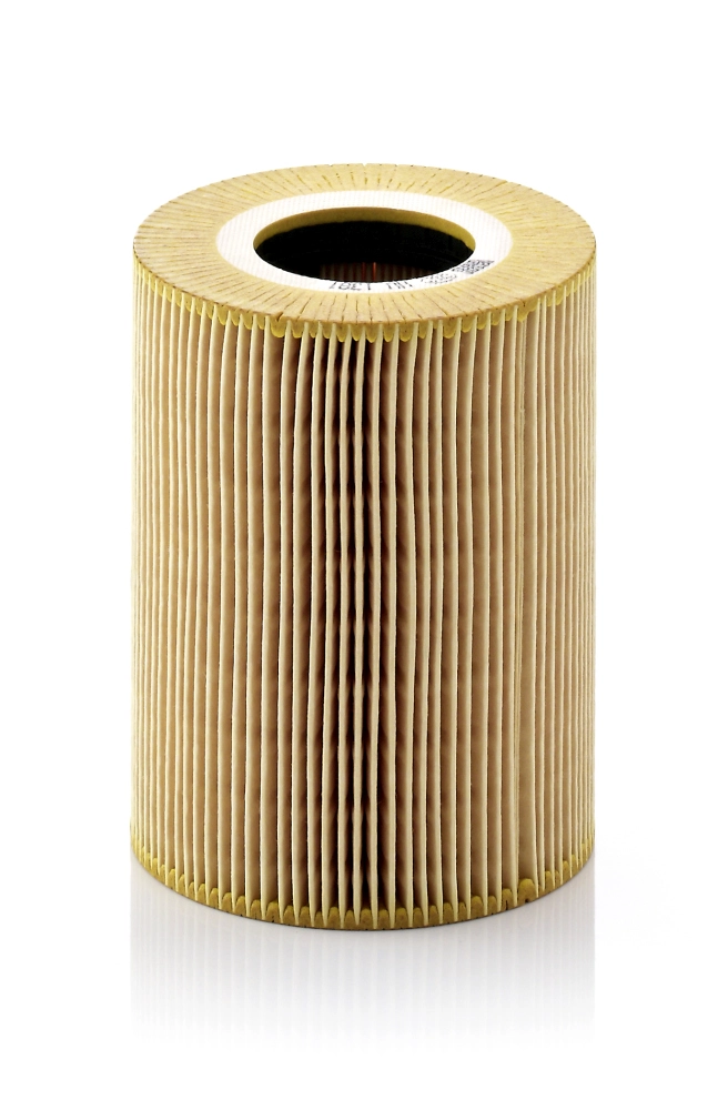 Yag Filtresi MAN TGA 18.410 D2866 00> 18.460 D2876 00> 18.480 D2876 02> F2000 19.423 D2866 94> 19.463 D2876 94> 19.464 D2876 98> | MANN HU1381X | OEM 51055040098 82055040098