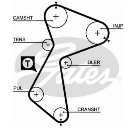 Eksantrik Rulman Kiti P206-P307-P406-P407-P607-P807-Expert-C4-C5-C8-Jumpy-Scudo 1,8 16V/2,0 16V 95-> (Dayco Kayis Alt Rulman) | ALLES KIT 344/1 | OEM 153RP254H