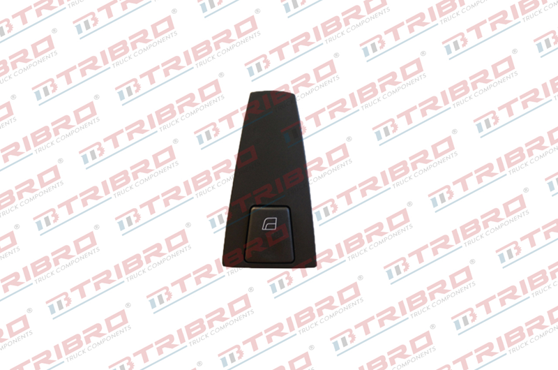 Cam Kaldırma Düğmesi Volvo Sağ Fh-Fm | OEM 20455318