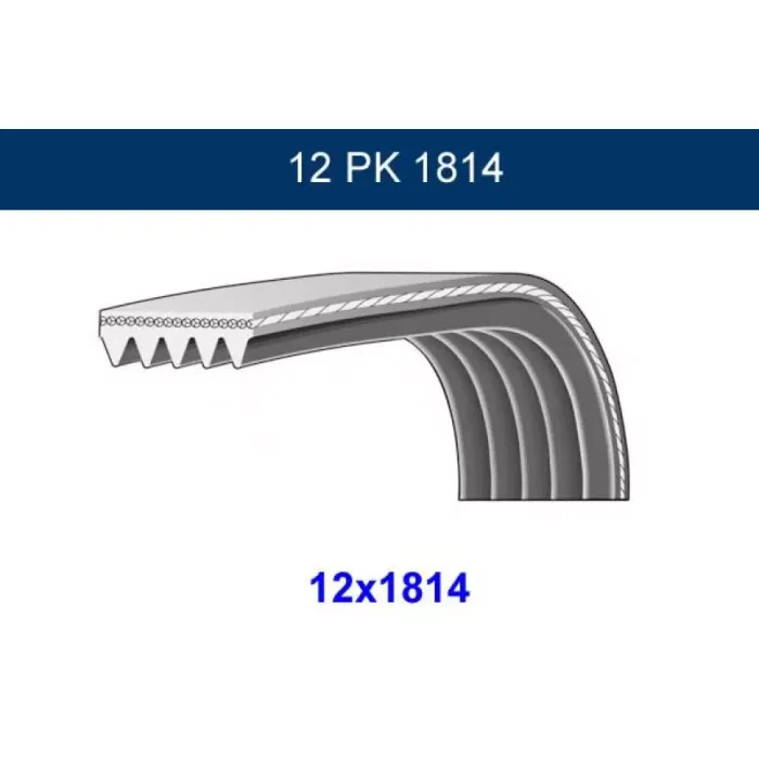 Kanalli Kayis Iveco Eurostar | GMB GPK 12PK1814 | OEM 500341808 504027703 504049425