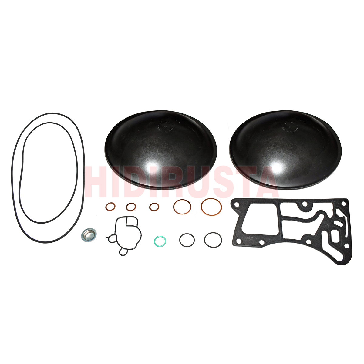 Retarder R115Hv Axor, Actros Tamir Takımı (Diyafram) | OEM 15300187310