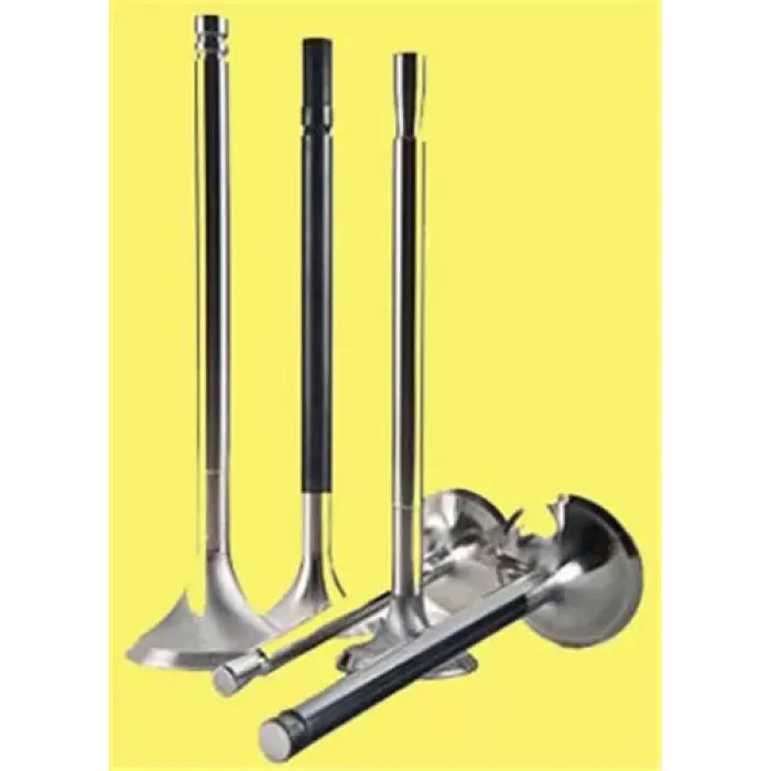 Subap Takimi R9 (In 4 / Ex 4) | GUNES 4688-4689 | OEM 7700690577 7700677702