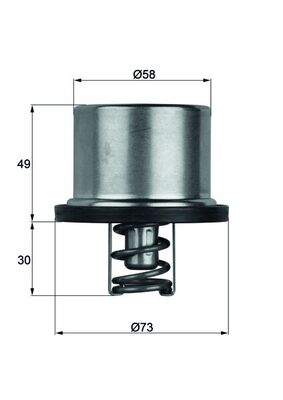 Termostat (79°) DAF Volvo Scania MAN Mercedes Benz Iveco Renault BMW 3 (E90 E92 E93) 2007 2013 5 (E60 E61) 2004 2010 6 (E63 E64) 2005 2010 | MAHLE THD179 | OEM 0022032275 0032032375 0295024