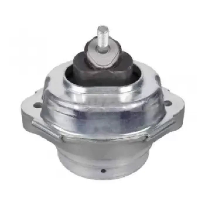 Motor Takozu R-L Bmw M57 X5 E53 01>06 | SWAG 20929838 | OEM 22111096997 22111096997 22116770638 22116770638