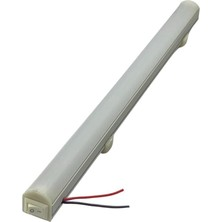 Ledli Tavan Tavan Lambası 50 900 Kırmızı (Florasan)
